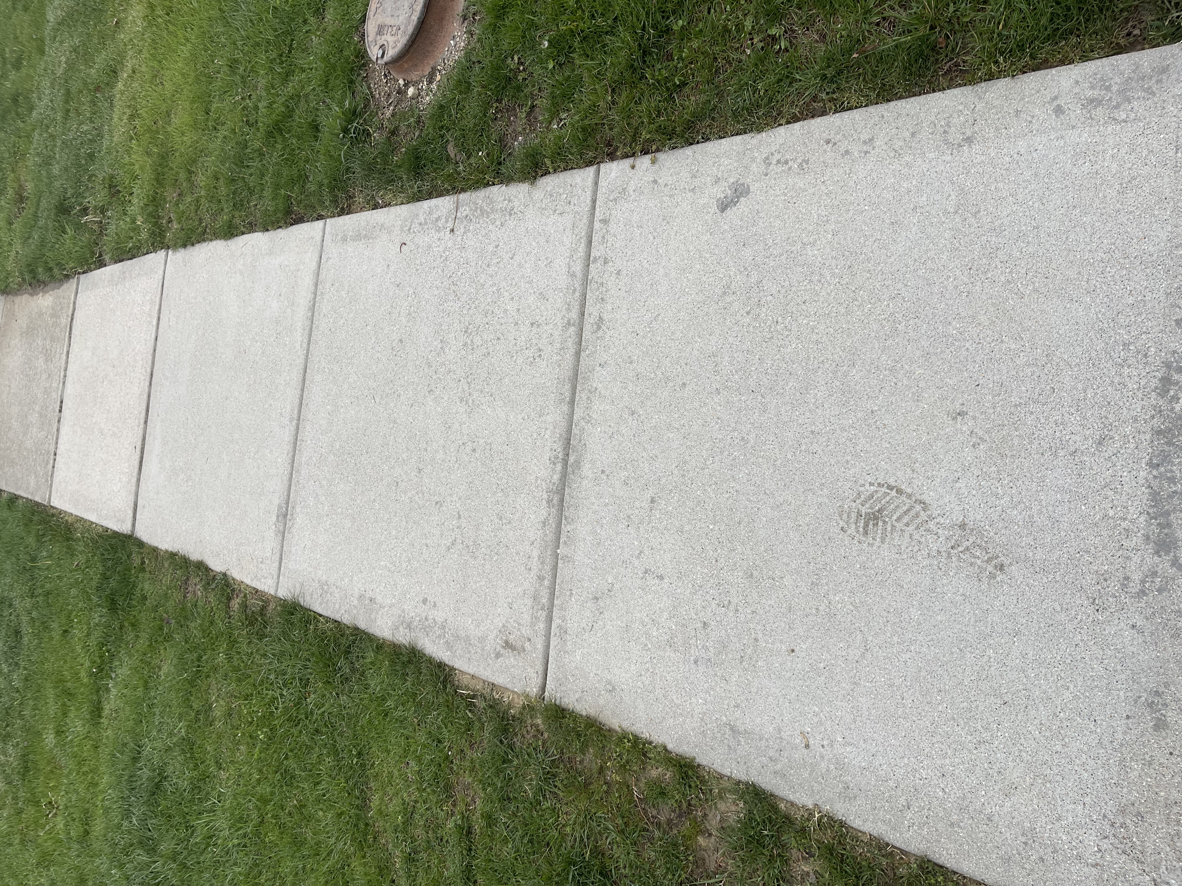 Sidewalk 2 after cleaning